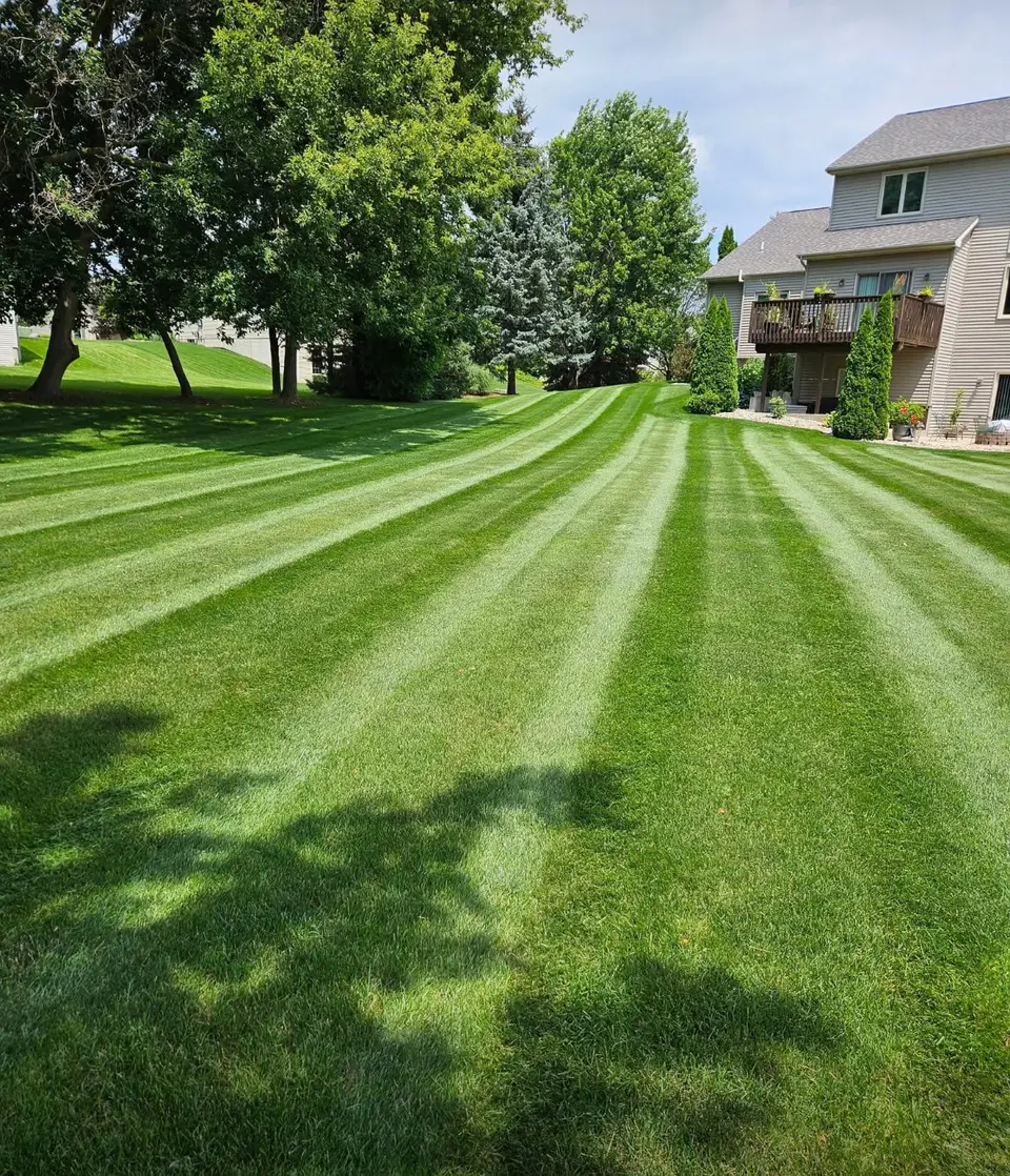 Freshly striped lawn in front of a two-story home