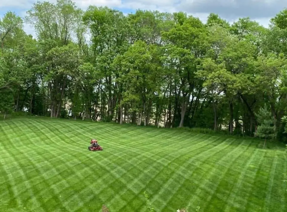 Large striped lawn with a mower in the distance